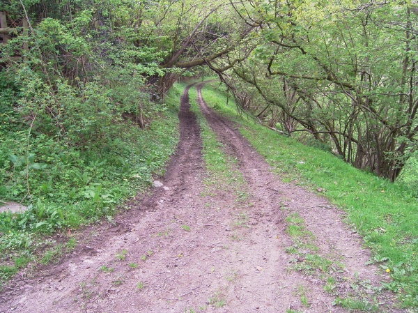 Detached House in Welshpool